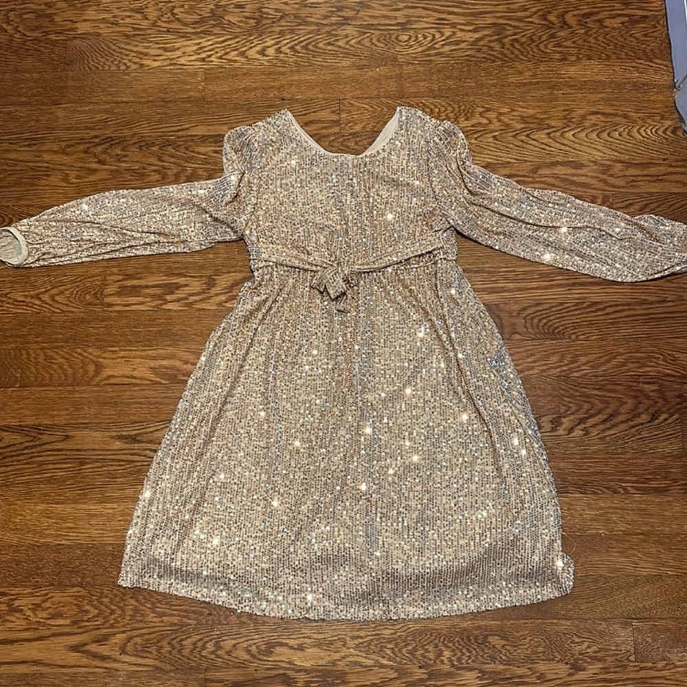 Holiday Sequin Party Dress